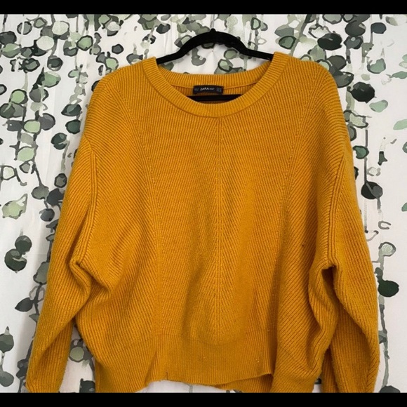 Zara Sweaters - Zara Knit Sweater